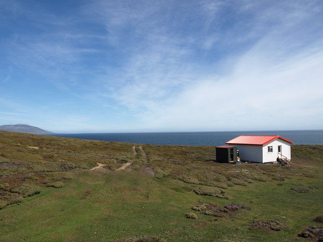 ../../Pictures/241209/057 Saunders Island.JPG